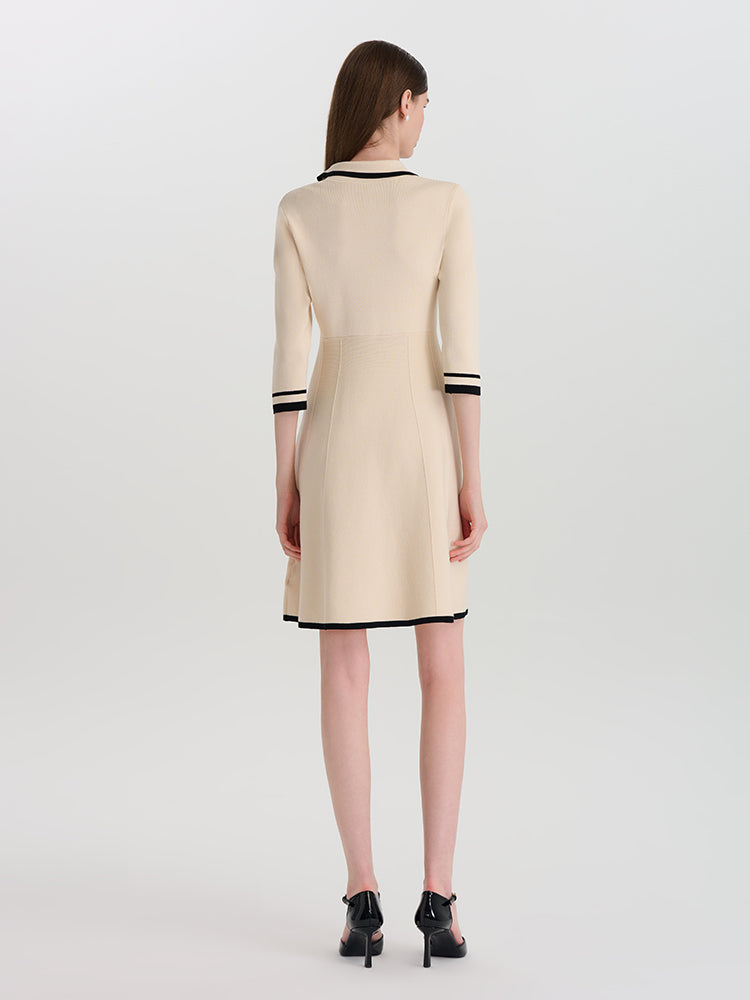 Fitted Double-Breasted V-Neck Mini Dress